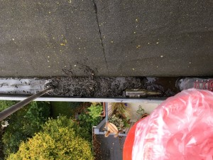 Eine Regenrinne ist hier mit Schlamm verstopft (Foto: Industrie Kletterer Hamburg IKH GmbH)
