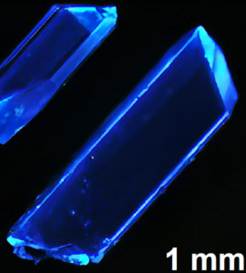 Neues LED-Material emittiert tiefblaues Licht (Foto: Kun Zhu, Jing Li Lab, rutgers.edu)