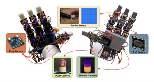 Sensoren verteilen sich auf Handfläche (rechts) und Handrücken (Bild: Zhou et al/arXiv)