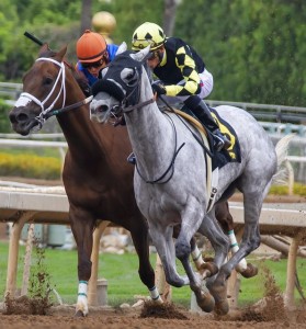 Pferderennen: Sportwetten-Nutzer sind am zufriedensten (Foto: Clarence Alford, pixabay.com)