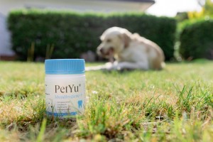 Für gesunde und saubere Zähne ohne Zahnbürste: PetYu Mundhygiene+