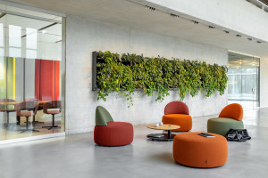 Bild: Incycle von Girsberger