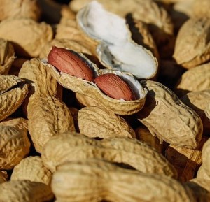 Erdnüsse: Sie sind für Allerghiker oft lebensgefährlich (Foto: Couleur, pixabay.com)
