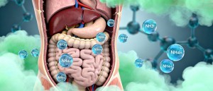 Ammonium und die Entstehung von Alzheimer, Diabetes und anderen Krankheiten (Bild: ZEOLITH WISSEN)