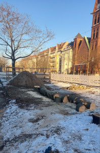 Fachgerechte Baumfällung durch Baumpflege Kasper aus Berlin (Foto: Baumpflege Kasper GmbH) Fachgerechte Baumfällung durch Baumpflege Kasper aus Berlin (Foto: Baumpflege Kasper GmbH)