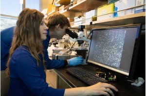 Jessica Kramer: Biowissenschaftlerin beobachtet Wirkung ihres Moleküls (Foto: Dan Hixson, utah.edu)