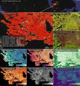 Satellitenbilder: Diese dokumentieren den Zustand der Erde (Quelle: 