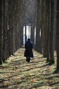Im Wald: Depressionen haben direkte Auswirkungen auf den Körper (Foto: pixabay.com, Anni Large)