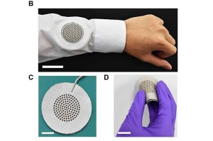 Aufkleber mit vielseitigen Anwendungen (Fotos: Science Advances (2025). DOI: 10.1126/sciadv.adx3348)