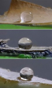 Wasser auf (von oben) beschichtetem Papier, Stoff und Filz (Fotos: Langmuir)