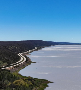 Straße am Lake George: Areal liefert Daten zur Untergrunderkundung (Foto: Jamie Kidston, anu.edu.au) Straße am Lake George: Areal liefert Daten zur Untergrunderkundung (Foto: Jamie Kidston, anu.edu.au)