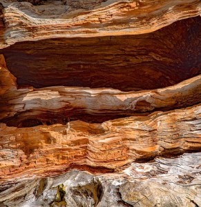 Holz: wird durch Plastination resistent gegen Wind und Wetter (Foto: djedj, pixabay.com) Holz: wird durch Plastination resistent gegen Wind und Wetter (Foto: djedj, pixabay.com)