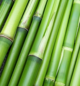 Bambus: Daraus gefertigtes Geschirr kann gefährlich sein (Foto: clarabsp, pixabay.com) Bambus: Daraus gefertigtes Geschirr kann gefährlich sein (Foto: clarabsp, pixabay.com)