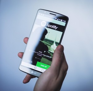 Spotify: Unternehmen lässt Einbinden externer Wiedergabelisten zu (Foto: pixabay.com, StockSnap)