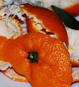 Schalen: Biokohle steigert den Wert von Lebensmittelabfällen (Foto: Thomas, pixabay.com) Schalen: Biokohle steigert den Wert von Lebensmittelabfällen (Foto: Thomas, pixabay.com)