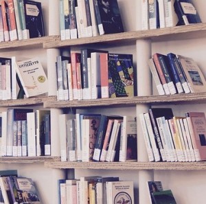 Bücherregal; KI droht Autoren langfristig überflüssig zu machen (Foto: Marisa Sias, pixabay.com)