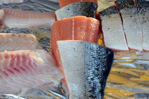 Lachs: Neues Tool ermöglicht bessere Unterscheidung (Foto: pixabay.com, Maria Gutebring)