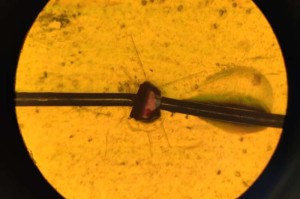 Neuer ungiftiger Piezokristall unter dem Mikroskop (Foto: birmingham.ac.uk, ox.ac.uk)