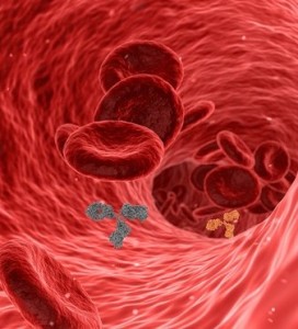 Blutplättchen: Sie lassen sich jetzt länger konservieren (Bild: swiftsciencewriting, pixabay.com) Blutplättchen: Sie lassen sich jetzt länger konservieren (Bild: swiftsciencewriting, pixabay.com)