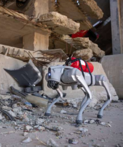 Schlauer Robohund im Katastropheneinsatz (Foto: Logan Jinks, tamu.edu) Schlauer Robohund im Katastropheneinsatz (Foto: Logan Jinks, tamu.edu)