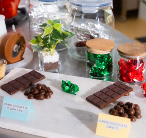 Schokolade: Innovation der NUS kommt in zwei Varianten ohne Kakao aus (Foto: nus.edu.sg) Schokolade: Innovation der NUS kommt in zwei Varianten ohne Kakao aus (Foto: nus.edu.sg)