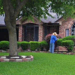 Gärtner: Schwäche von Gewerkschaften fördert Selbstständigkeit (Foto: Muhamad, pixabay.com)