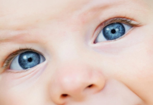 Baby-Augenpaar: Blinde Säuglinge sind wieder sehfähig (Foto: ucl.ac.uk)