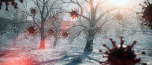 Grippezeit/Erkältungszeit: Mit PMA-Zeolith wieder fit werden (Bild: ZEOLITH WISSEN)