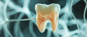 PMA-Zeolith bei Parodontitis und zum Schutz des oralen Mikrobioms (Bild: ZEOLITH WISSEN)