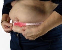 Adipositas: komplizierter als bisher angenommen (Foto: pixabay.com, Bruno)