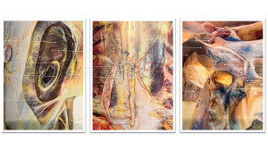 Faszinierende Faszien (Bild: Spiraldynamik®)