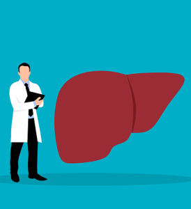 Leber: Mit Gentechnik lässt sich das Organ verjüngen (Bild: Mohamed Hassan, pixabay.com)