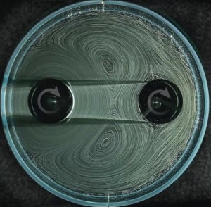 Luftbläschen machen die Strömungen im Getriebe sichtbar (Foto: nyu.edu)