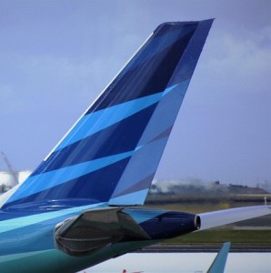 Flugzeug: Macken heilen danke neuem Kunststoff wie von selbst (Foto: Nel Botha, pixabay.com)