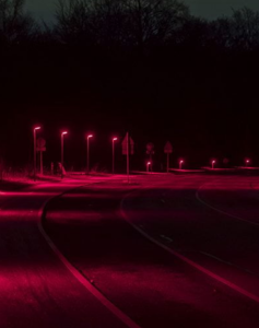 Rotlicht: Straßenlaternen helfen Menschen und Tieren (Foto: lightbureau.com)