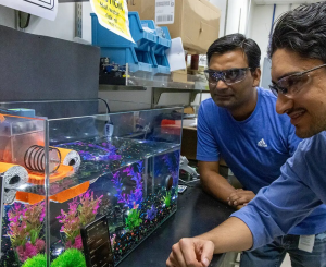 Ravi Kishore (links) and Erick Moreno Resendiz testen Generator (Foto: Agata Bogucka, nrel.gov)
