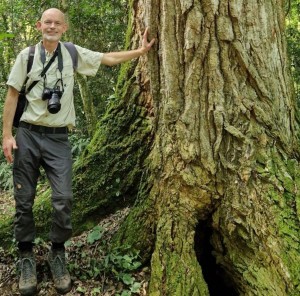 Jens-Christian Svenning: Forscher vor einem langsam wachsenden Baum (Foto: international.au.dk)