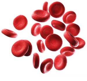 Diese roten Blutkörperchen sind völlig gesund (Illustration: Angelo D'Alessandro, cuanschutz.edu) Diese roten Blutkörperchen sind völlig gesund (Illustration: Angelo D'Alessandro, cuanschutz.edu)