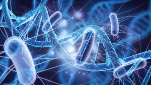 Forscher Dr. Paul Hammer von BIOMES über Mikrobiom-Tests (Bild: ZEOLITH WISSEN)