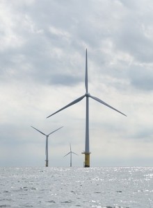Offshore-Windpark: Regionen sind Paradiese für Fische und Co (Foto: marliesplatvoet, pixabay.com)