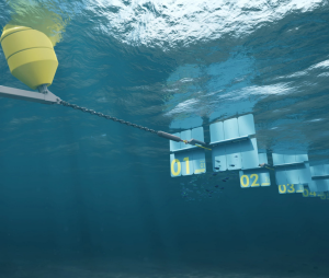 Funktionsprinzip: an einer Schnur aufgereihte Energiesammler (Foto: wavepiston.dk)