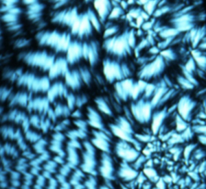 DNA-Struktur: Diese bietet das Potenzial für neuen Super-Datenspeicher (Foto: psu.edu) DNA-Struktur: Diese bietet das Potenzial für neuen Super-Datenspeicher (Foto: psu.edu)