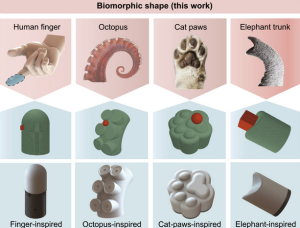 Natürliche Sensoren und technische Nachbildungen (Illustration: Cyborg and Bionic Systems) Natürliche Sensoren und technische Nachbildungen (Illustration: Cyborg and Bionic Systems)
