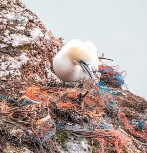 Müllberg: Ansammlungen wie diese werden künftig aus dem Weltall entdeckt (Foto: Silke, pixabay.com)