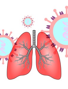 Funktionsprinzip: Schnelldiagnose für Lungenleiden kommt (Illustration: Gerd Altmann, pixabay.com)