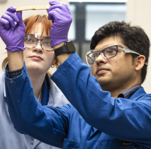 Mary Danielson (links) und Anisur Rahman zeigen Haftkraft des Klebers (Foto: Carlos Jones, ornl.gov)