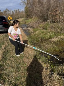 Wissenschaftlerin Samia Elashry bei der Algenernte am Straßenrand (Foto: Ana Elashry)