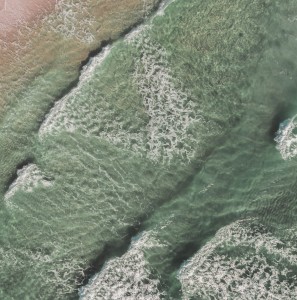 Algenblüten werden künftig schon im Keim erstickt (Foto: pixabay.com, callaway_hall)