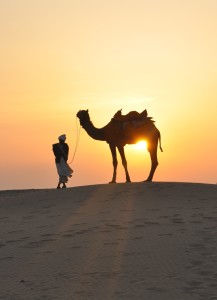 Kamel in der Wüste: Kreative Denker sehen in dem Tier ein Fahrzeug (Foto: sylviacopol0, pixabay.com)