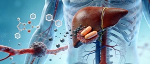 Forschung zeigt: Umweltgifte belasten die Leber zunehmend - Copyright: ZEOLITH WISSEN